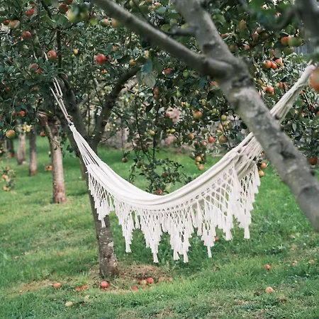 Rural Casona De Cefontes