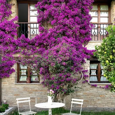 Rural Casona De Hotel Cefontes