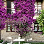 Rural Casona De فندق خيخون