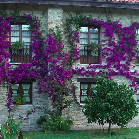 Rural Casona De Cefontes 3* גיחון