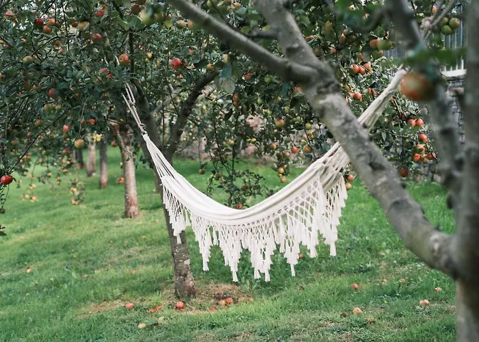 Rural Casona De Cefontes