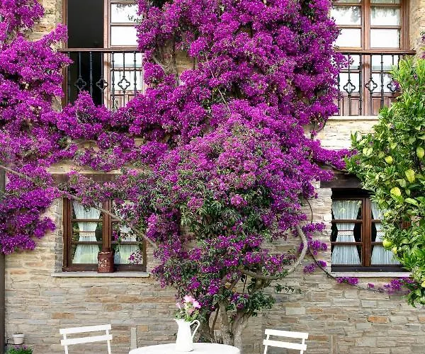 Rural Casona De Hotel Cefontes